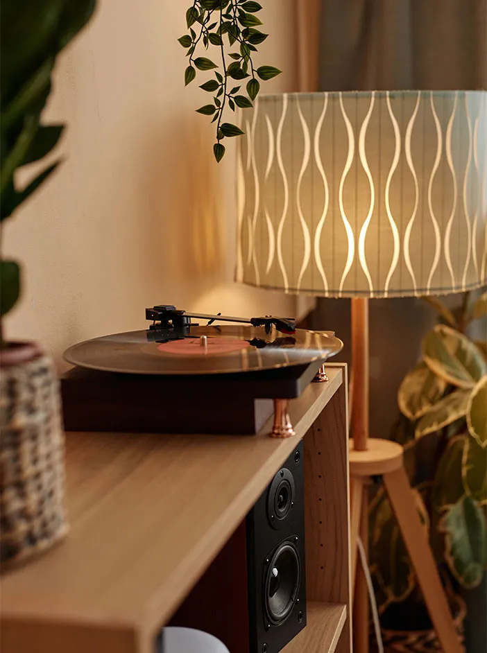 Vinyl record player on a wooden shelf