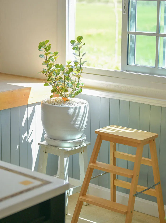 Flower vase indoors near a window