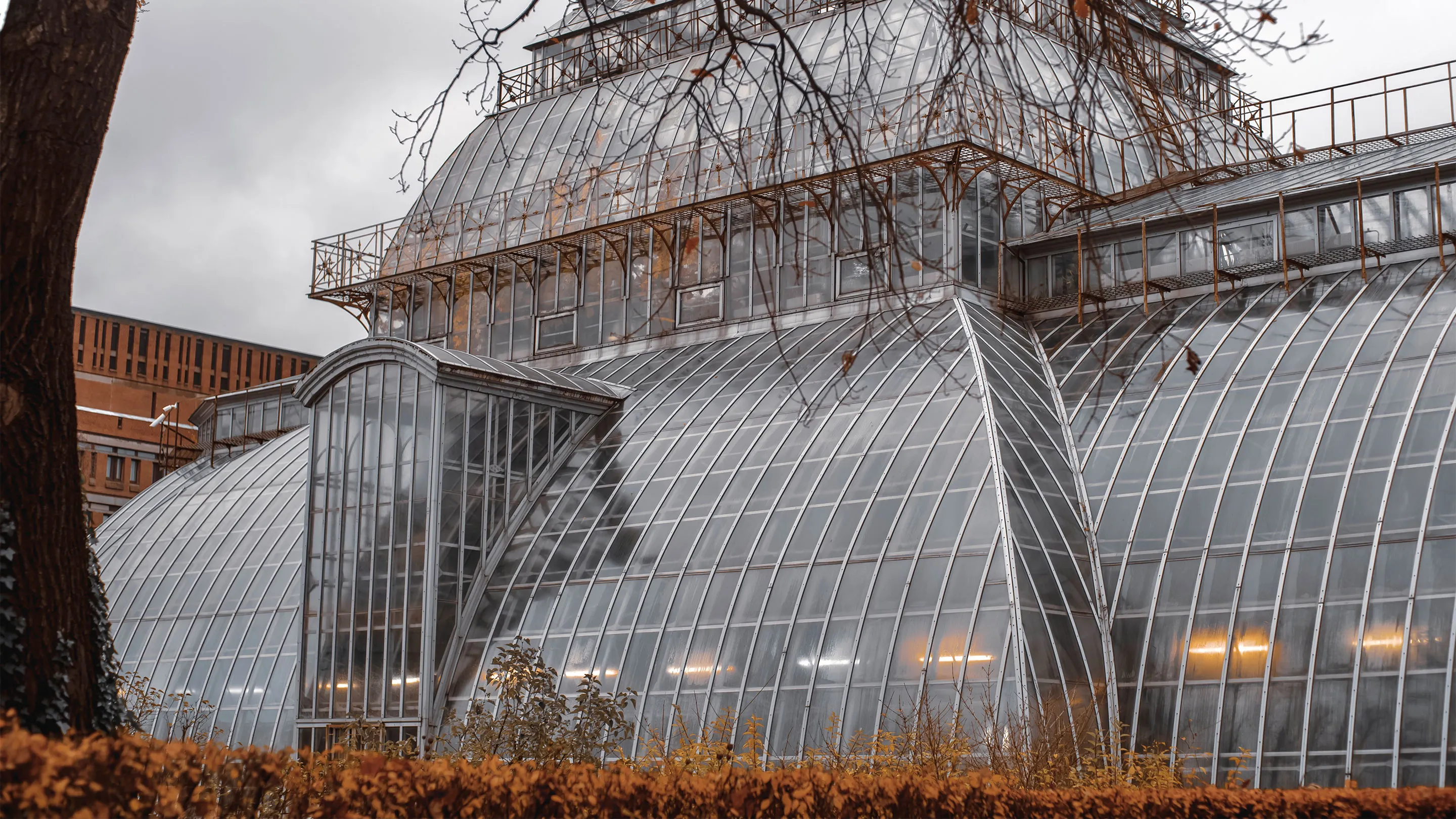 Low angle view of a city building